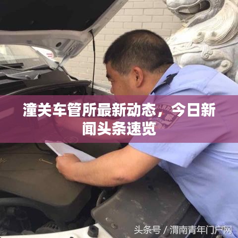 潼關車管所最新動態(tài)，今日新聞頭條速覽