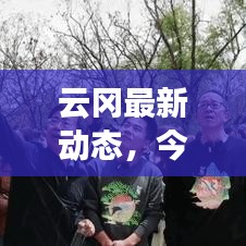 云岡最新動(dòng)態(tài)，今日消息一覽