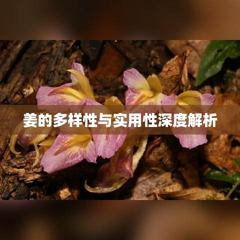 2025年2月2日 第7頁