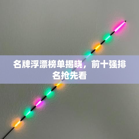 名牌浮漂榜單揭曉，前十強(qiáng)排名搶先看