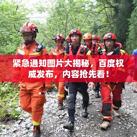 緊急通知圖片大揭秘，百度權(quán)威發(fā)布，內(nèi)容搶先看！