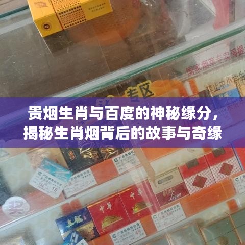 貴煙生肖與百度的神秘緣分，揭秘生肖煙背后的故事與奇緣！