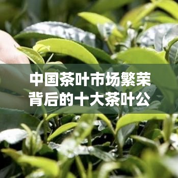 中國茶葉市場繁榮背后的十大茶葉公司解析，脫穎而出，引領行業(yè)風潮！
