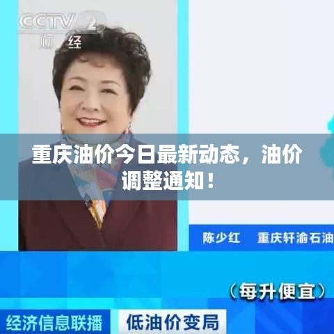 重慶油價今日最新動態(tài)，油價調(diào)整通知！