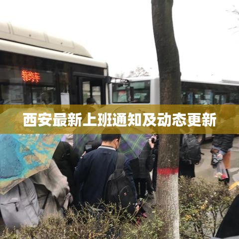 西安最新上班通知及動(dòng)態(tài)更新