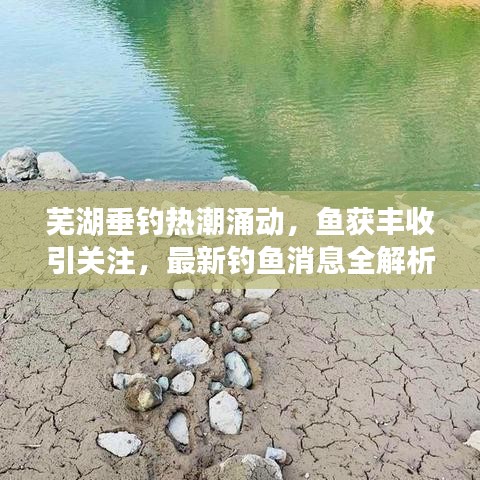 蕪湖垂釣熱潮涌動，魚獲豐收引關(guān)注，最新釣魚消息全解析