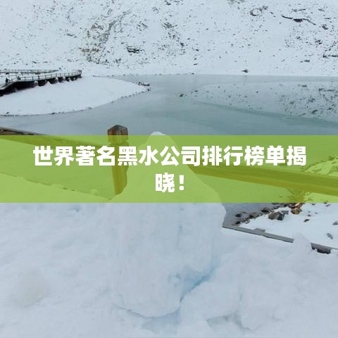 世界著名黑水公司排行榜單揭曉！