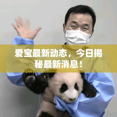 愛寶最新動(dòng)態(tài)，今日揭秘最新消息！