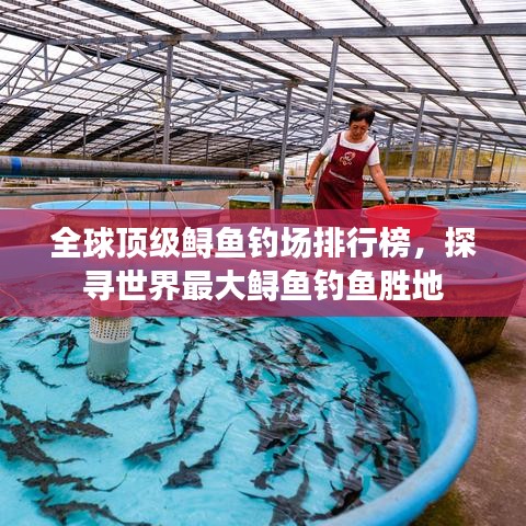 全球頂級(jí)鱘魚釣場(chǎng)排行榜，探尋世界最大鱘魚釣魚勝地