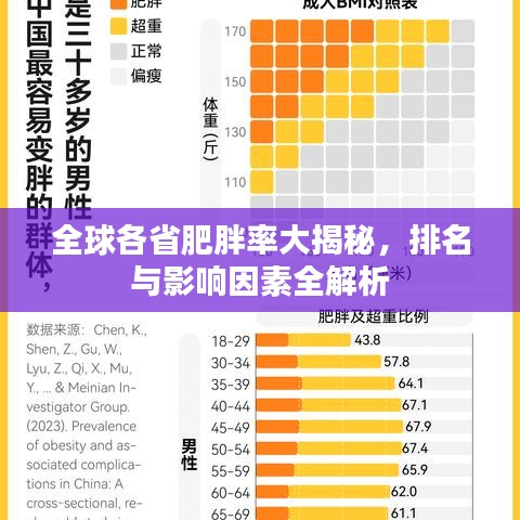 全球各省肥胖率大揭秘，排名與影響因素全解析