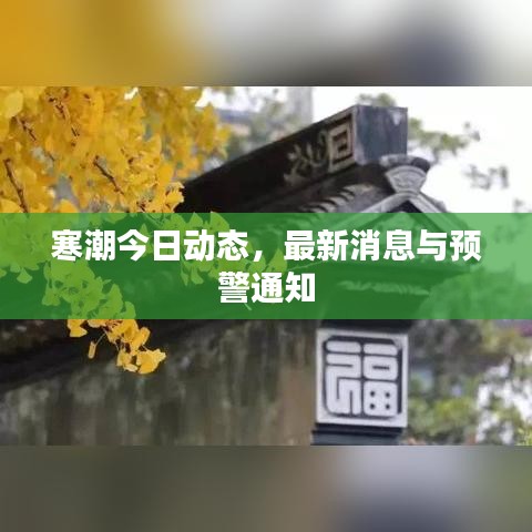 寒潮今日動態(tài)，最新消息與預(yù)警通知