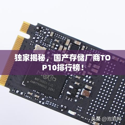 獨家揭秘，國產(chǎn)存儲廠商TOP10排行榜！