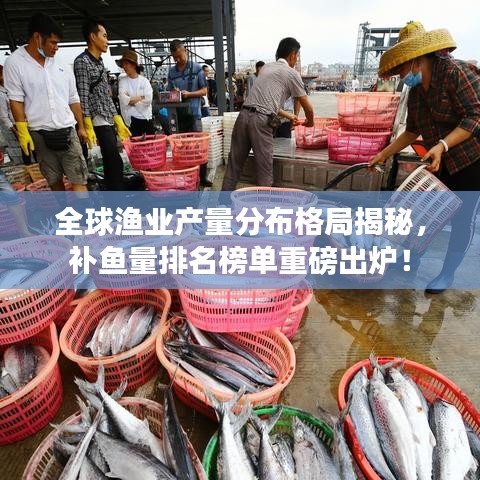 全球漁業(yè)產(chǎn)量分布格局揭秘，補(bǔ)魚量排名榜單重磅出爐！