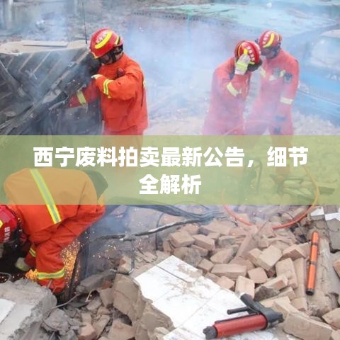 西寧廢料拍賣最新公告，細(xì)節(jié)全解析