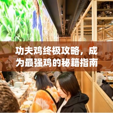 功夫雞終極攻略，成為最強(qiáng)雞的秘籍指南
