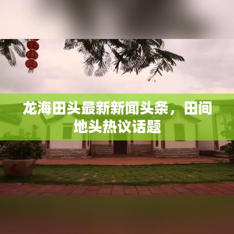 龍海田頭最新新聞頭條，田間地頭熱議話題