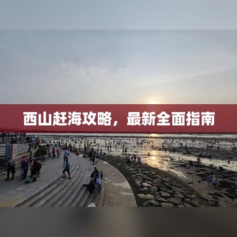 西山趕海攻略，最新全面指南