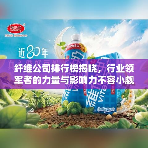 纖維公司排行榜揭曉，行業(yè)領(lǐng)軍者的力量與影響力不容小覷