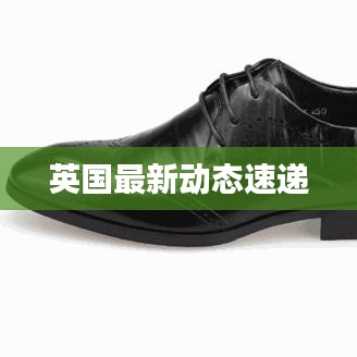 英國最新動(dòng)態(tài)速遞
