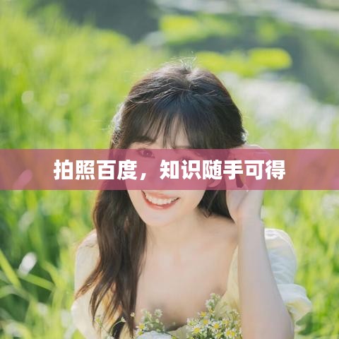 拍照百度，知識隨手可得