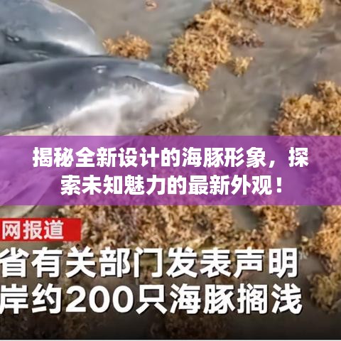 揭秘全新設(shè)計(jì)的海豚形象，探索未知魅力的最新外觀！
