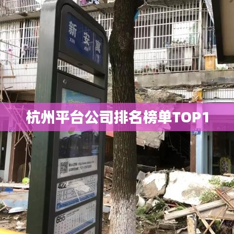 杭州平臺(tái)公司排名榜單TOP10