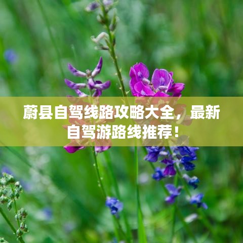 蔚縣自駕線路攻略大全，最新自駕游路線推薦！