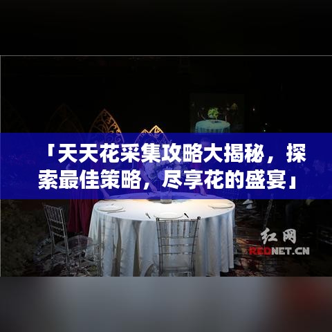 「天天花采集攻略大揭秘，探索最佳策略，盡享花的盛宴」