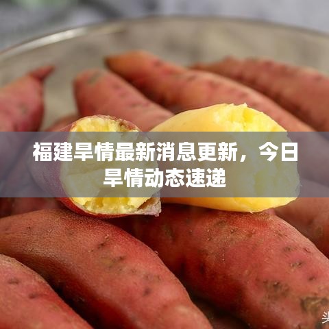 福建旱情最新消息更新，今日旱情動(dòng)態(tài)速遞