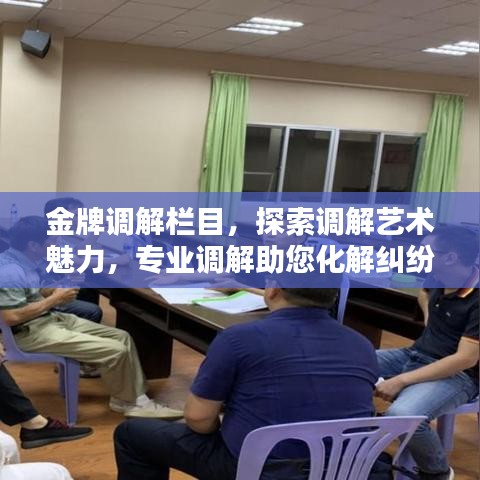 金牌調(diào)解欄目，探索調(diào)解藝術(shù)魅力，專業(yè)調(diào)解助您化解糾紛