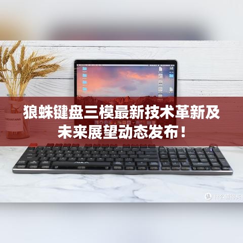 狼蛛鍵盤三模最新技術(shù)革新及未來展望動態(tài)發(fā)布！