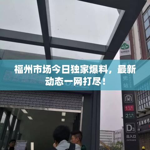 福州市場(chǎng)今日獨(dú)家爆料，最新動(dòng)態(tài)一網(wǎng)打盡！