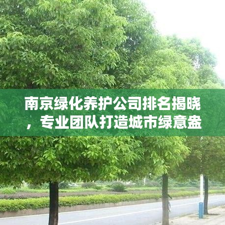 南京綠化養(yǎng)護公司排名揭曉，專業(yè)團隊打造城市綠意盎然！