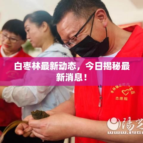 白棗林最新動(dòng)態(tài)，今日揭秘最新消息！