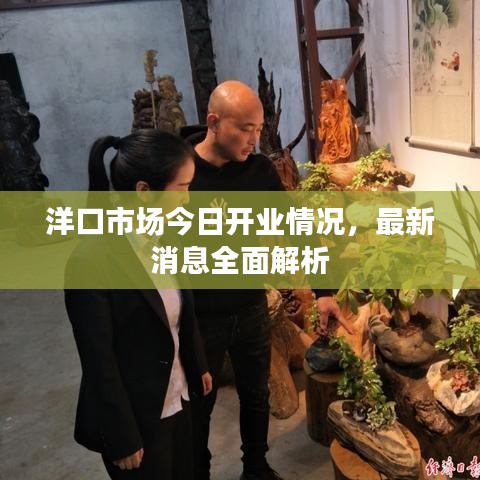洋口市場(chǎng)今日開(kāi)業(yè)情況，最新消息全面解析