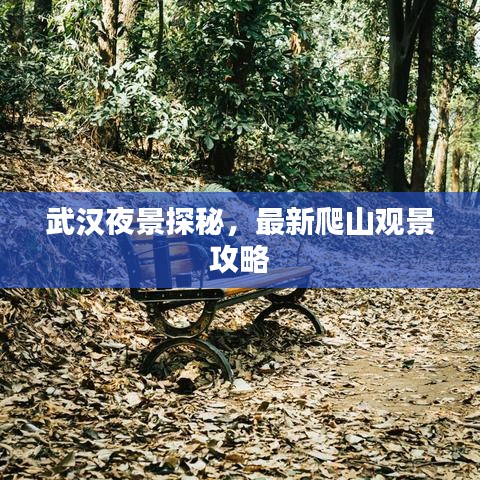 武漢夜景探秘，最新爬山觀景攻略