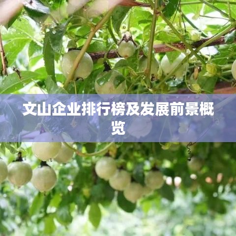 文山企業(yè)排行榜及發(fā)展前景概覽