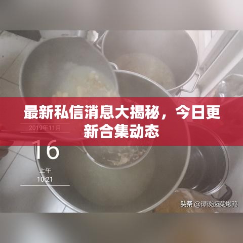 最新私信消息大揭秘，今日更新合集動(dòng)態(tài)