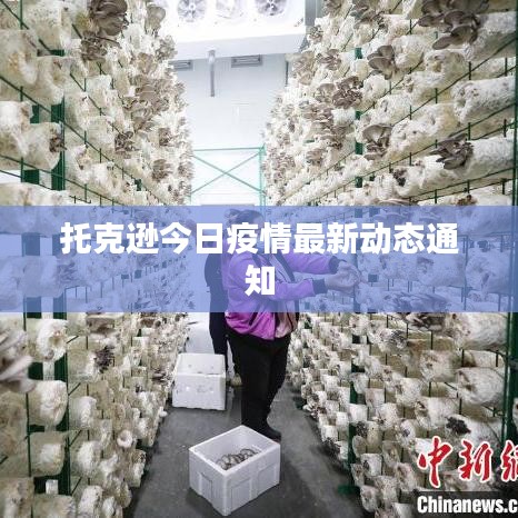 托克遜今日疫情最新動態(tài)通知