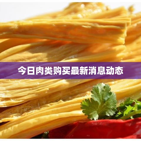 今日肉類購買最新消息動態(tài)