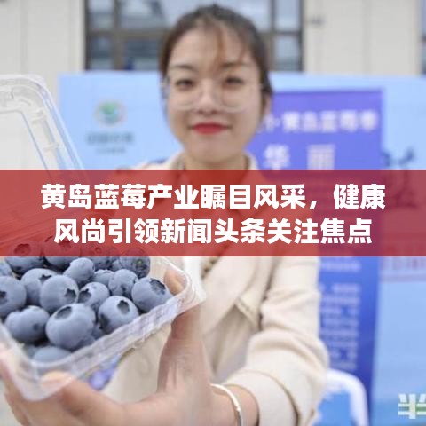 黃島藍莓產(chǎn)業(yè)矚目風采，健康風尚引領(lǐng)新聞頭條關(guān)注焦點