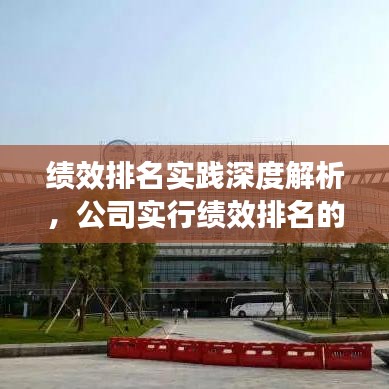 績(jī)效排名實(shí)踐深度解析，公司實(shí)行績(jī)效排名的洞察與啟示