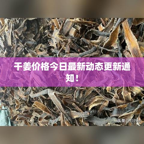 干姜價(jià)格今日最新動(dòng)態(tài)更新通知！