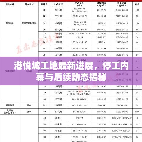 港悅城工地最新進展，停工內幕與后續(xù)動態(tài)揭秘