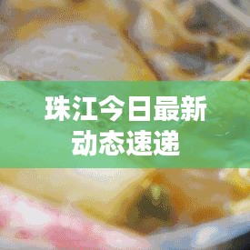 珠江今日最新動(dòng)態(tài)速遞