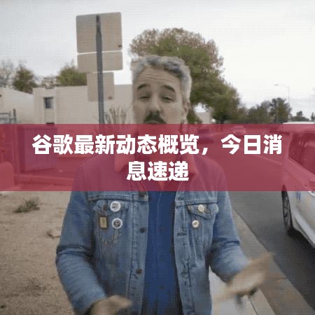 谷歌最新動態(tài)概覽，今日消息速遞