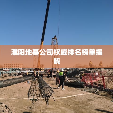 濮陽(yáng)地基公司權(quán)威排名榜單揭曉