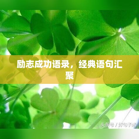 勵志成功語錄，經(jīng)典語句匯聚