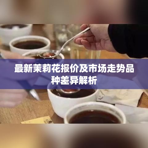 最新茉莉花報價及市場走勢品種差異解析