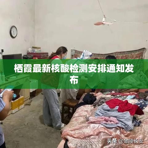 棲霞最新核酸檢測安排通知發(fā)布
